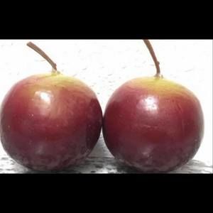 Meet your Posher, Vú